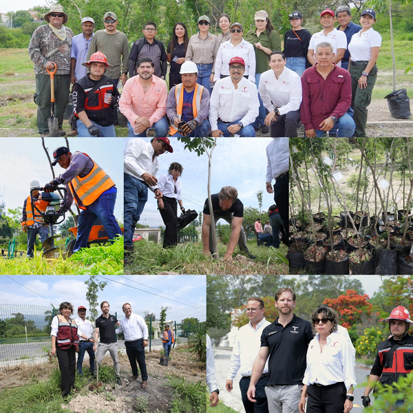 Fortalece SEDUMA reforestación urbana en Parques del Bienestar