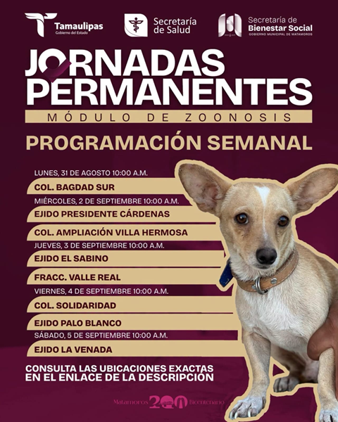 Porque ellos también son parte de la familia, seguimos acercando atención para nuestras mascotas a distintos sectores de Matamoros