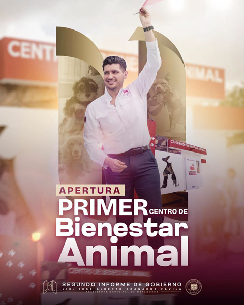El bienestar también se construye cuidando a quienes no tienen voz
