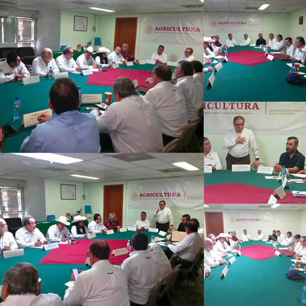Impulsan Plan de Reconversión para fortalecer el campo de Tamaulipas